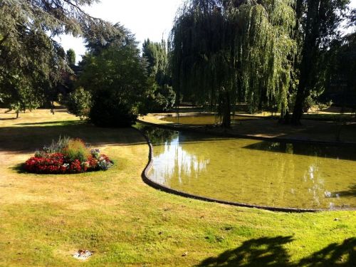 Viager occupé LE-CHESNAY - 78150 bouquet 75€ - ref 224