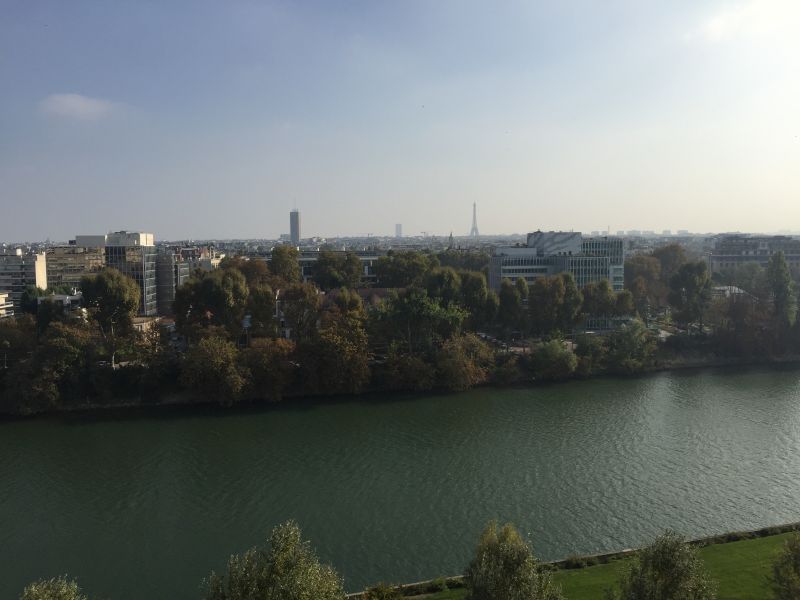 Viager occupé COURBEVOIE - 92400 bouquet 145€ - ref 1575