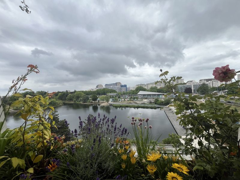 Viager occupé NOISY-LE-GRAND - 93160 bouquet 75€ - ref 2805