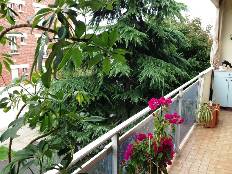 Viager libre SAINT-MAUR-DES-FOSSES - 94100 bouquet 135€ - ref 584