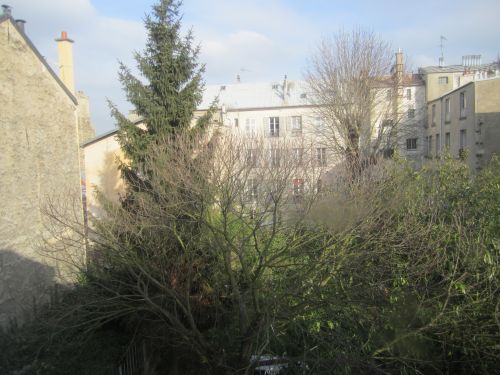 Viager occupé VERSAILLES - 78000 bouquet 125€ - ref 131